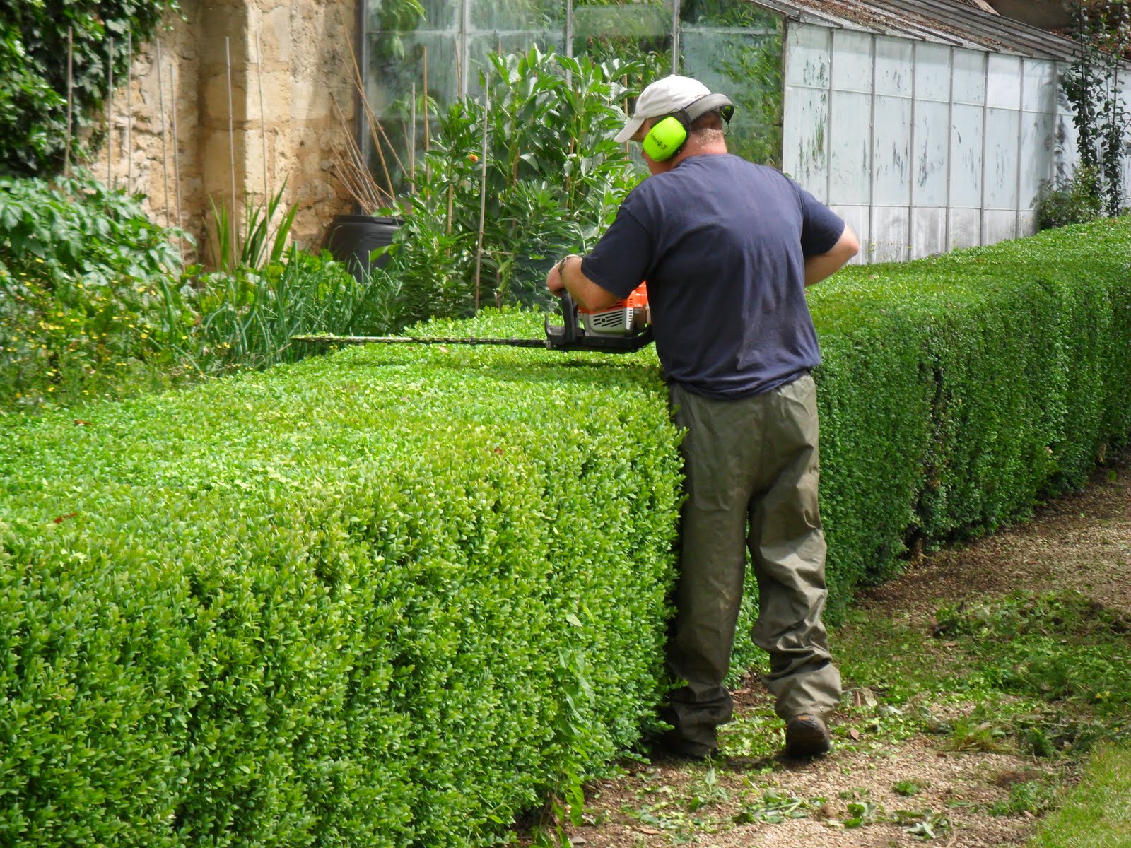 Mowing action in progress by Phillip Island Lawns